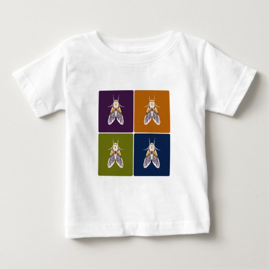 Clown Face Moth (Voorkant)