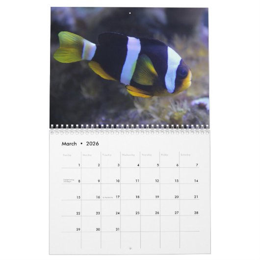 Clown Fish 2025 Kalender (Mar 2026)