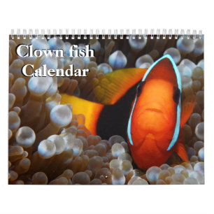 Clown Fish 2025 Kalender