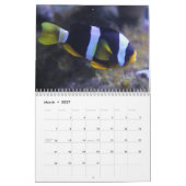Clown Fish 2025 Kalender (Mar 2027)