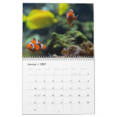 Clown Fish 2025 Kalender (Jan 2027)