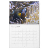 Clown Fish 2025 Kalender (Feb 2027)