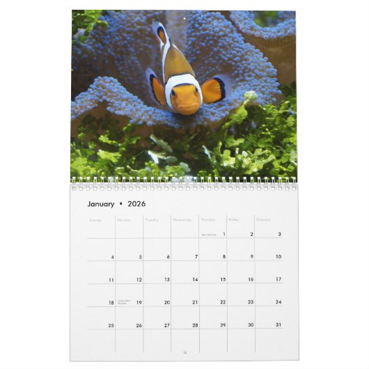 Clown Fish 2025 Kalender (Jan 2026)