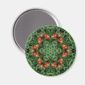 Clown Fish Groene Peul Magneet (Voorkant / Achterkant)