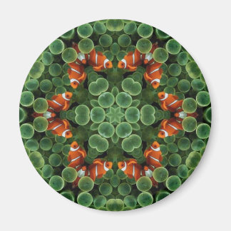 Clown Fish Groene Peul Magneet