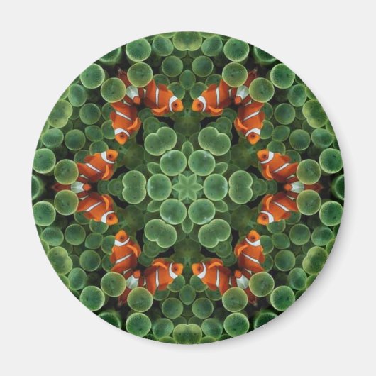Clown Fish Groene Peul Magneet (Voorkant)