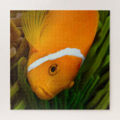 Clown Fish Jigzaag Puzzle Legpuzzel (Horizontaal)