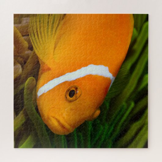 Clown Fish Jigzaag Puzzle Legpuzzel (Horizontaal)