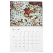 Clown Fish Kalender - Anemone Fish (Mar 2026)