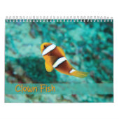 Clown Fish Kalender - Anemone Fish (Hoes)