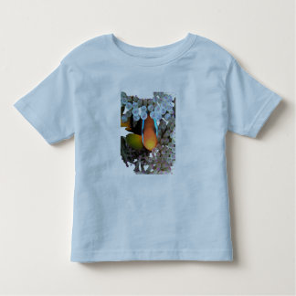 clown fish kinder shirts