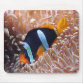 Clown Fish Mousepad Muismat (Voorkant)