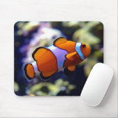 clown fish muismat (Met muis)