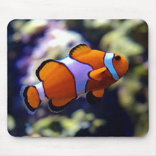 clown fish muismat (Voorkant)