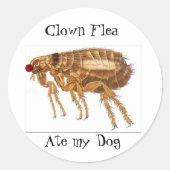 Clown Flea stickers (Voorkant)