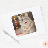 clown kat vierkante sticker (Envelop)