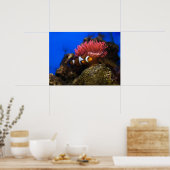 clown vis poster (Keuken)