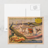 Clown, Zebu en Peacock Circus Poster Briefkaart (Voorkant / Achterkant)