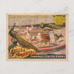 Clown, Zebu en Peacock Circus Poster Briefkaart
