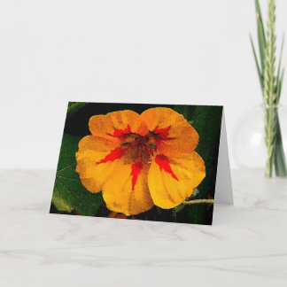 CLOWNFACE NOTECARD/BLANK KAART