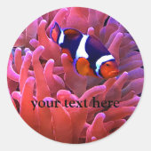 Clownfish #1 Sticker (Voorkant)