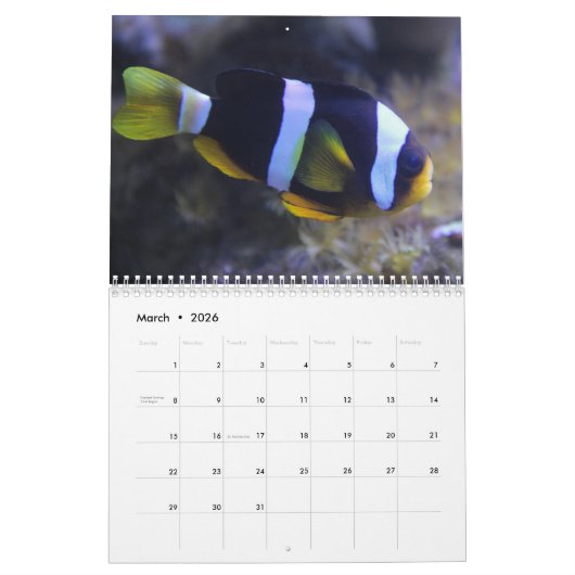 Clownfish 2025 kalender (Mar 2026)