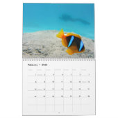 Clownfish 2025 kalender (Feb 2026)
