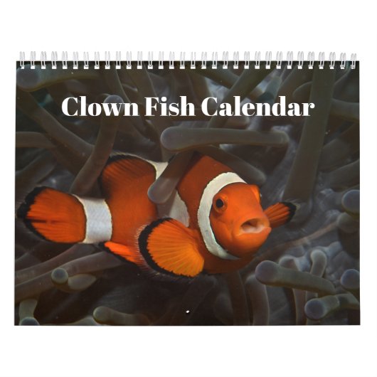 Clownfish 2025 kalender (Hoes)