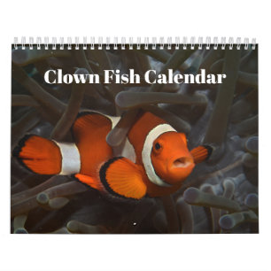 Clownfish 2025 kalender