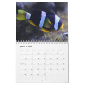 Clownfish 2025 kalender (Mar 2027)
