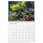 Clownfish 2025 kalender (Jan 2027)