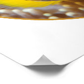 Clownfish - Close-up! Rond fotografisch ontwerp | Poster (Hoek)