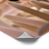 Clownfish familie poster (Hoek)