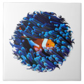 Clownfish in een anemoon tegeltje (Voorkant)