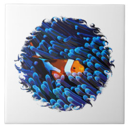 Clownfish in een anemoon tegeltje