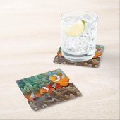 Clownfish Kartonnen Onderzetters (Insitu)