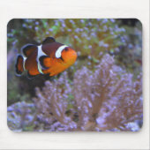 Clownfish Koral & Zee Anemone Underwater Foto Muismat (Voorkant)