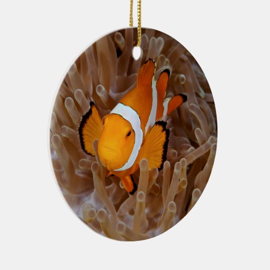 Clownfish - Molokai, North Shore Cliff Keramisch Ornament (Rechts)