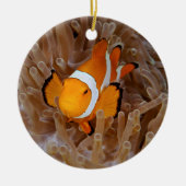 Clownfish - Molokai, North Shore Cliff Keramisch Ornament (Voorkant)