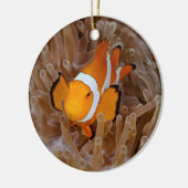 Clownfish - Molokai, North Shore Cliff Keramisch Ornament (Links)