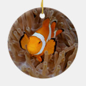 Clownfish - Molokai, North Shore Cliff Keramisch Ornament (Achterkant)