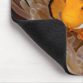 Clownfish - Molokai, North Shore Cliff Muismat (Hoek)