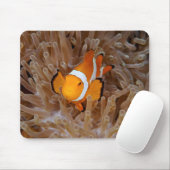 Clownfish - Molokai, North Shore Cliff Muismat (Met muis)