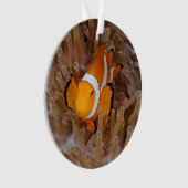 Clownfish - Molokai, North Shore Cliff Ornament (voorkant)