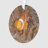 Clownfish - Molokai, North Shore Cliff Ornament (voorkant)