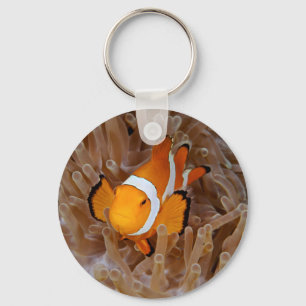 Clownfish - Molokai, North Shore Cliff Sleutelhanger