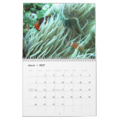 Clownfish of Fiji 2015 Calender Kalender (Mar 2027)