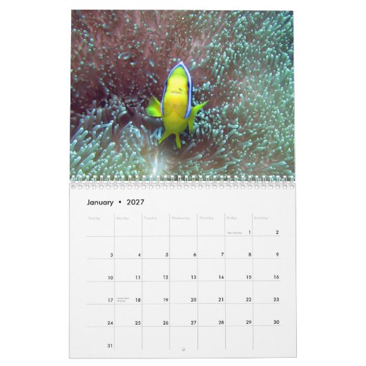 Clownfish of Fiji 2015 Calender Kalender (Jan 2027)