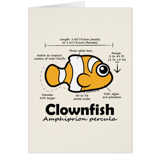 Clownfish Statistics (Voorkant)
