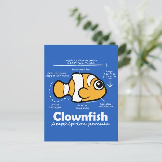 Clownfish Statistics Briefkaart (Staand voorkant)